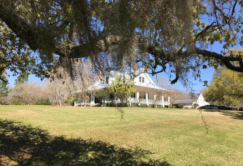 住宿加早餐 Canemount Plantation Inn