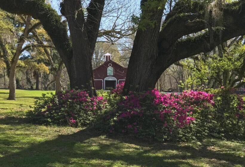 住宿加早餐 Canemount Plantation Inn