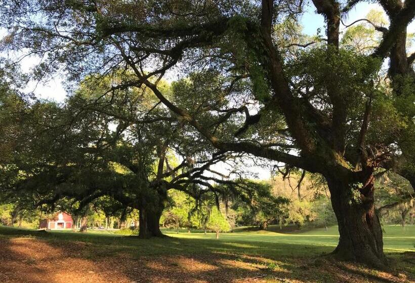 住宿加早餐 Canemount Plantation Inn