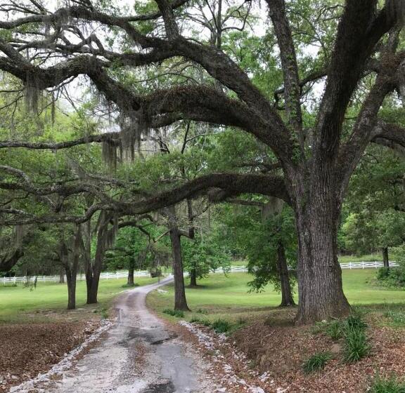 住宿加早餐 Canemount Plantation Inn