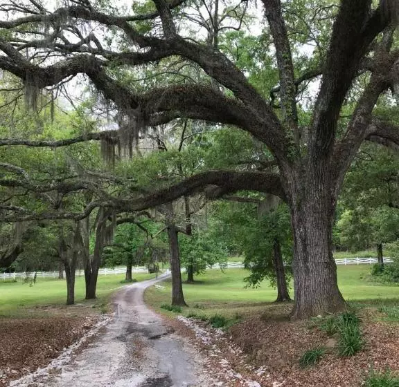 Aamiaismajoitus (B&B) Canemount Plantation Inn