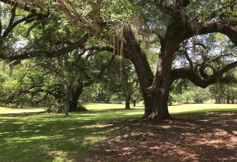 住宿加早餐 Canemount Plantation Inn