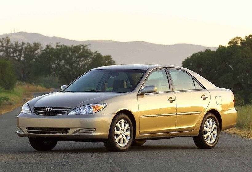 酒店 Toynak   Guest Houses   Campsite