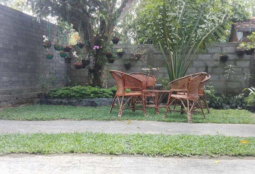 פנסיון Mango Roots