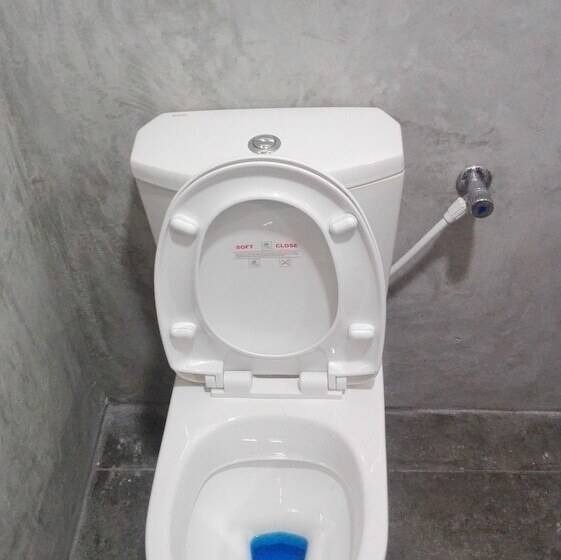 פנסיון Mango Roots