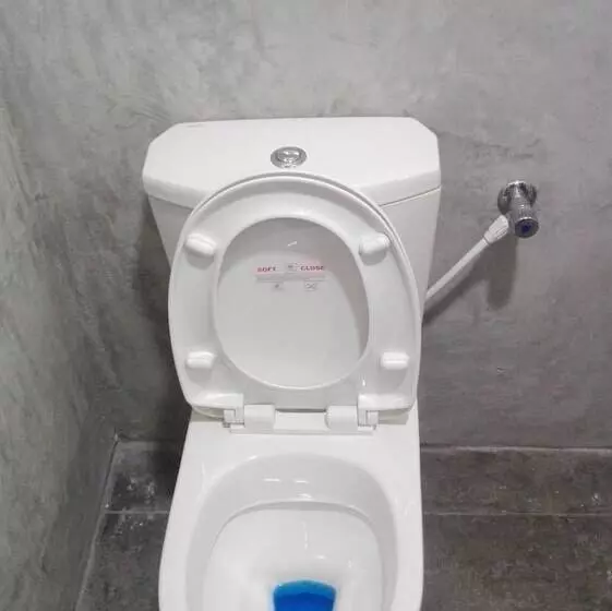 ペンション Mango Roots