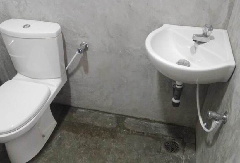 פנסיון Mango Roots