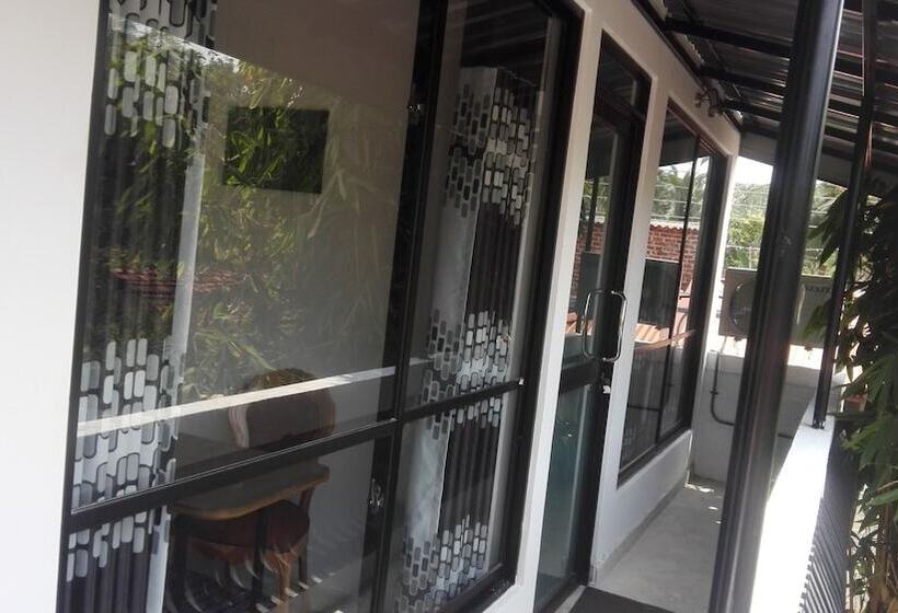 פנסיון Mango Roots