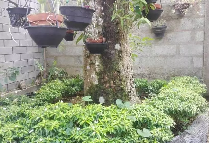 ペンション Mango Roots