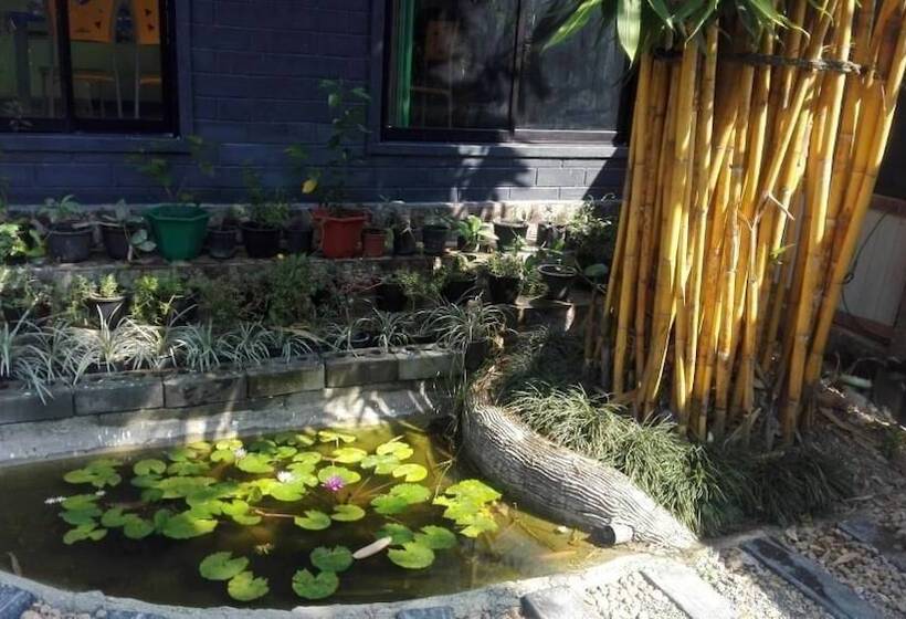 פנסיון Mango Roots