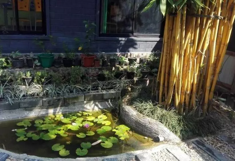 ペンション Mango Roots