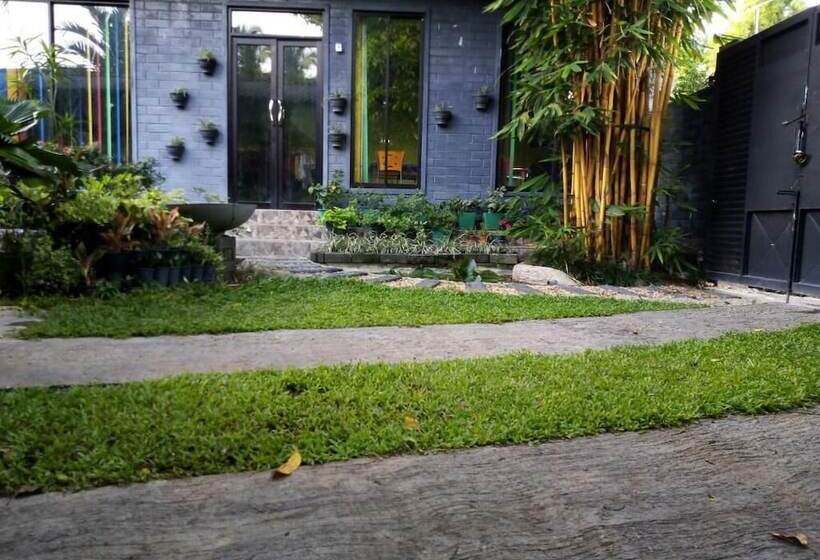 פנסיון Mango Roots