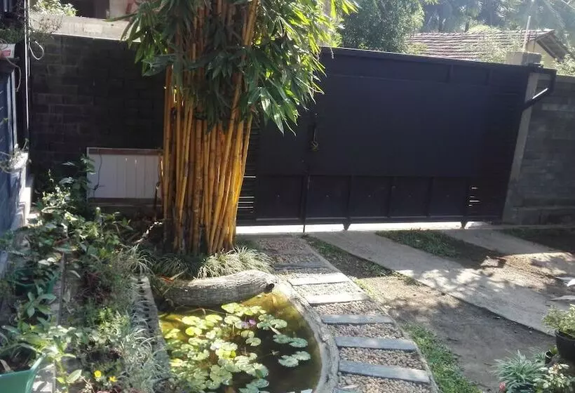 ペンション Mango Roots