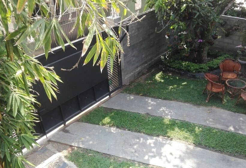 פנסיון Mango Roots