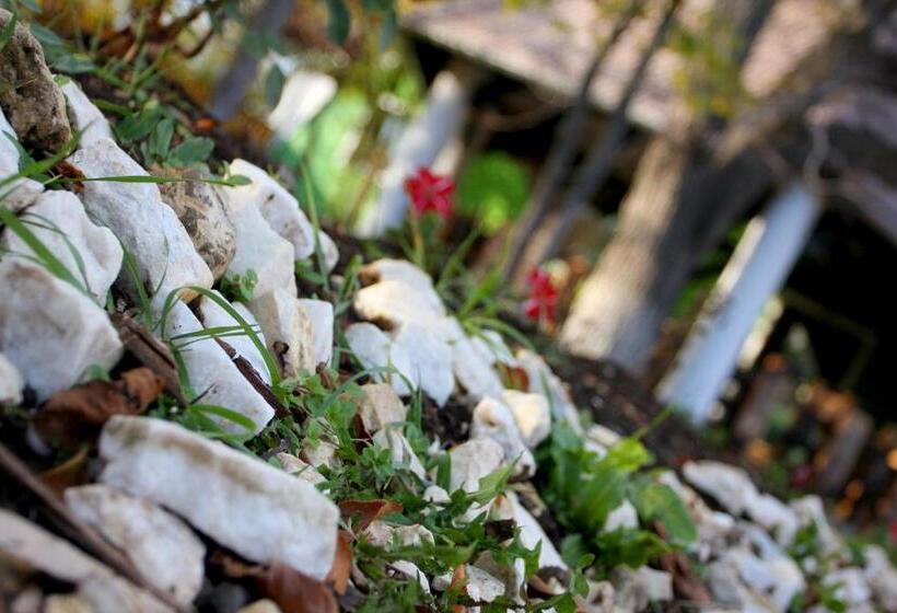 فندق صغير Hanul Kassay