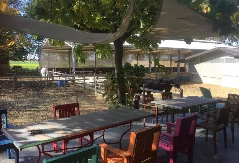 B&b Le Moulin De Fernelmont