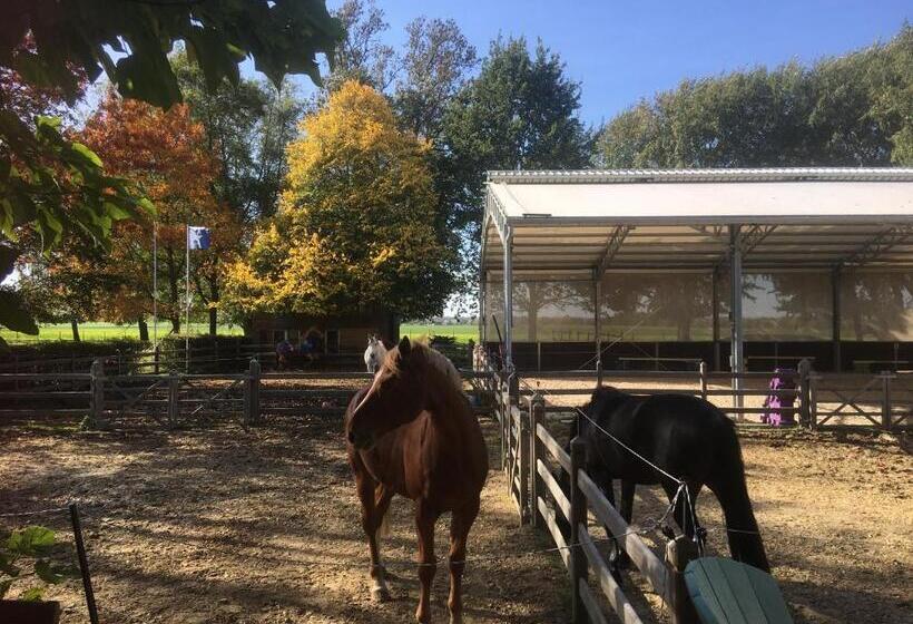 B&b Le Moulin De Fernelmont