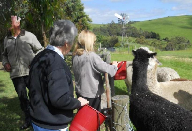 צימר Emerald Hills Cottage