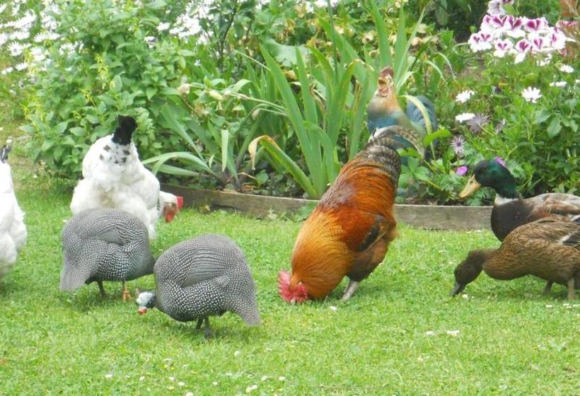 צימר Emerald Hills Cottage