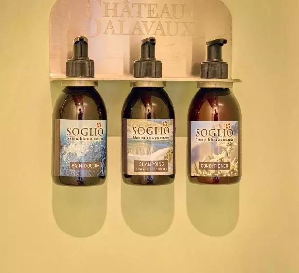 Hotelli Château Salavaux