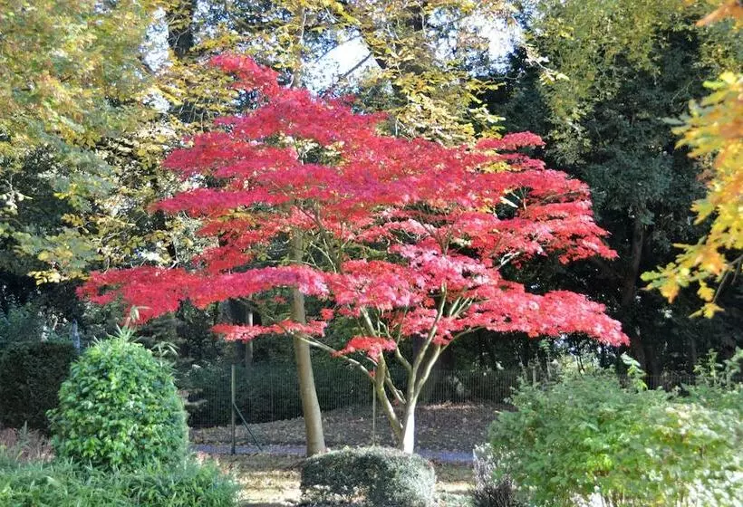 Hotelli Haras Des Chartreux