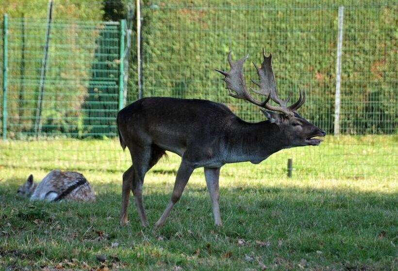 فندق Haras Des Chartreux