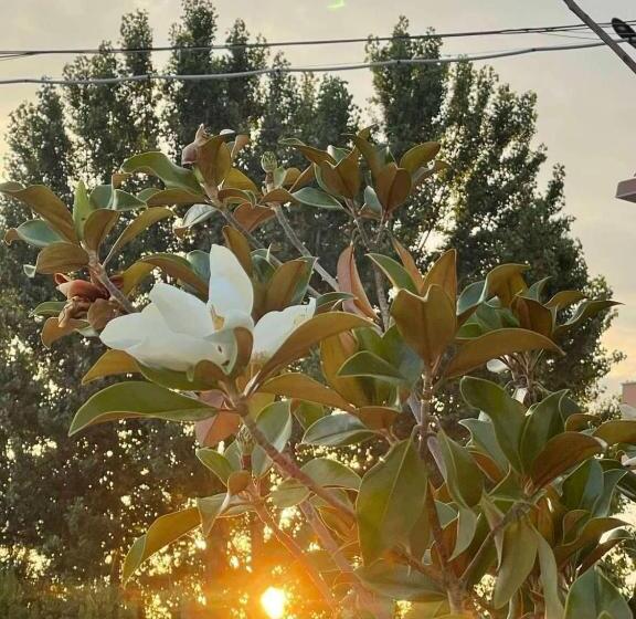 호텔 Komitite Complex