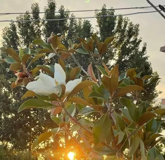 Hotelli Komitite Complex