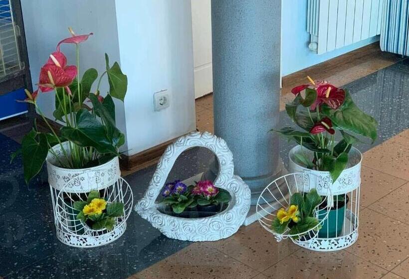 호텔 Komitite Complex