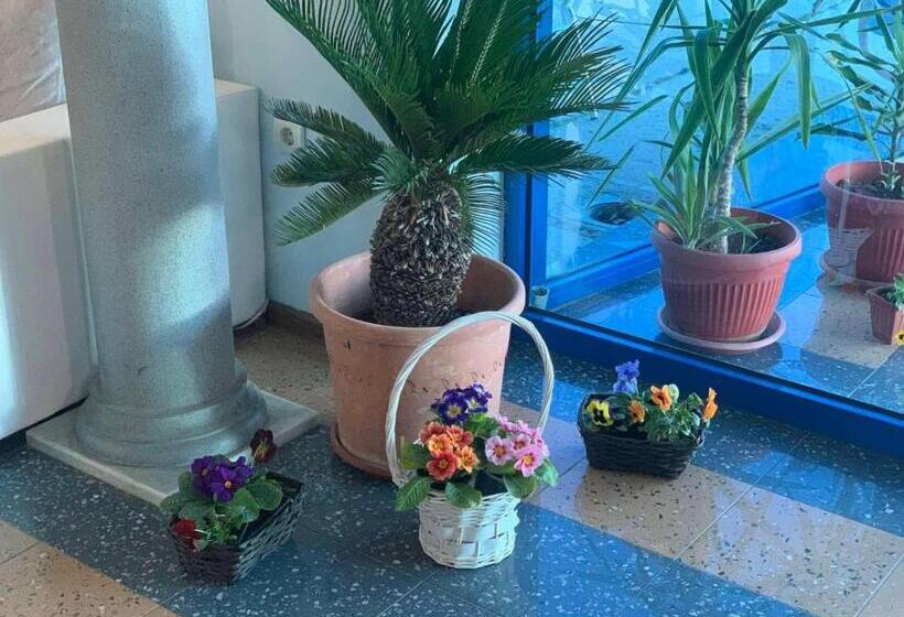 호텔 Komitite Complex