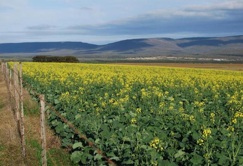 بنسيون Anna's Farm Stay