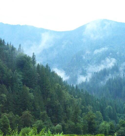 Pensão Cabana Plapumioara