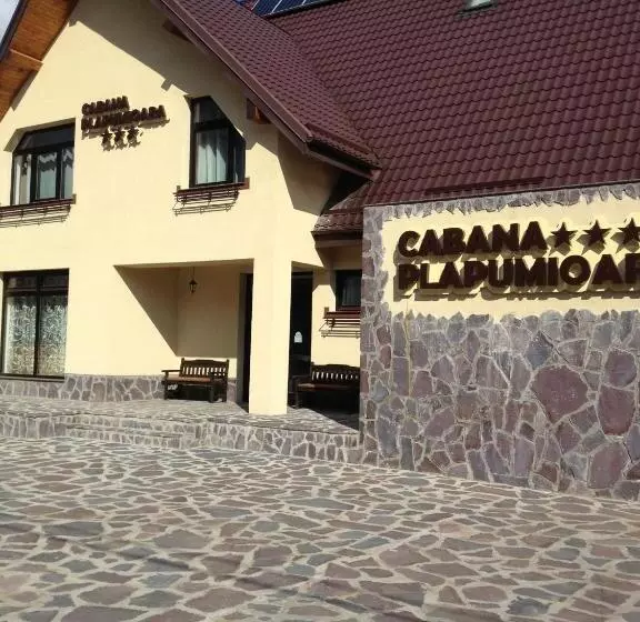پانسیون Cabana Plapumioara