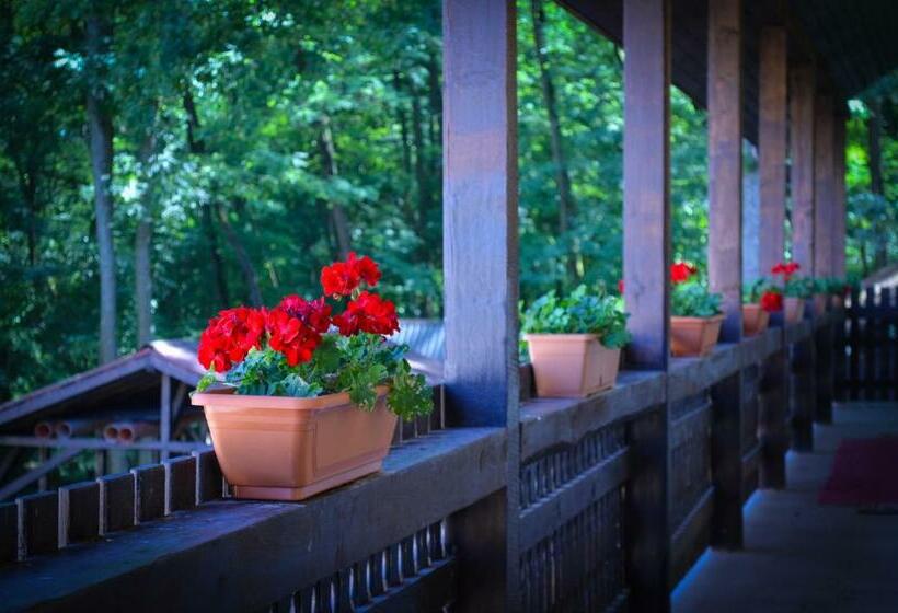 بنسيون Casa Bata