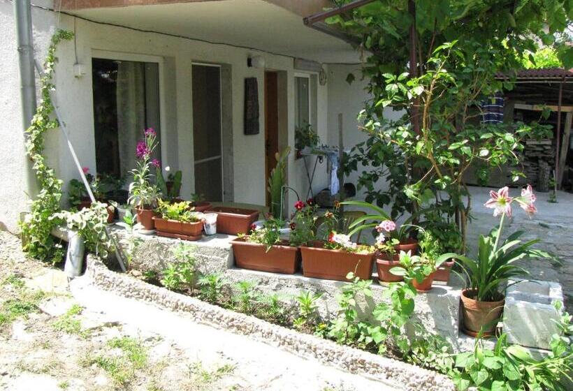 Пансион Guest House Familia