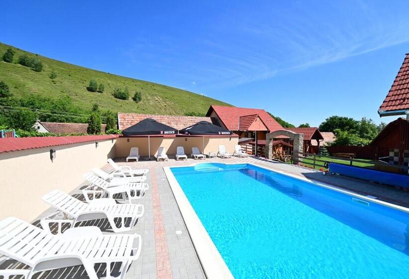 Pensiunea Darian & David