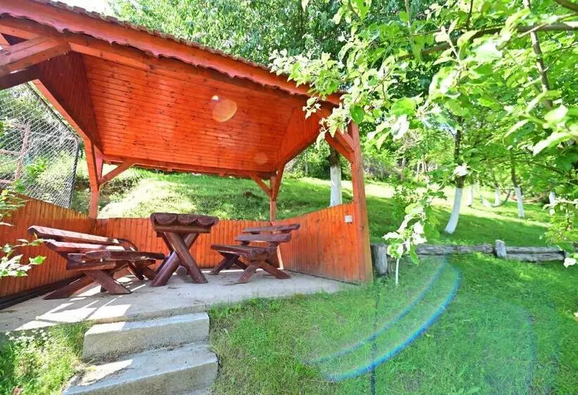 Pensiunea Darian & David