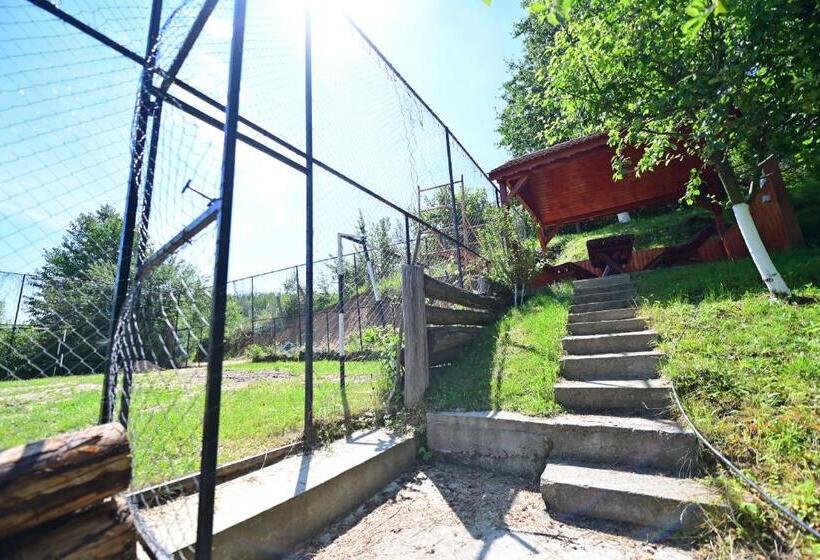 Pensiunea Darian & David