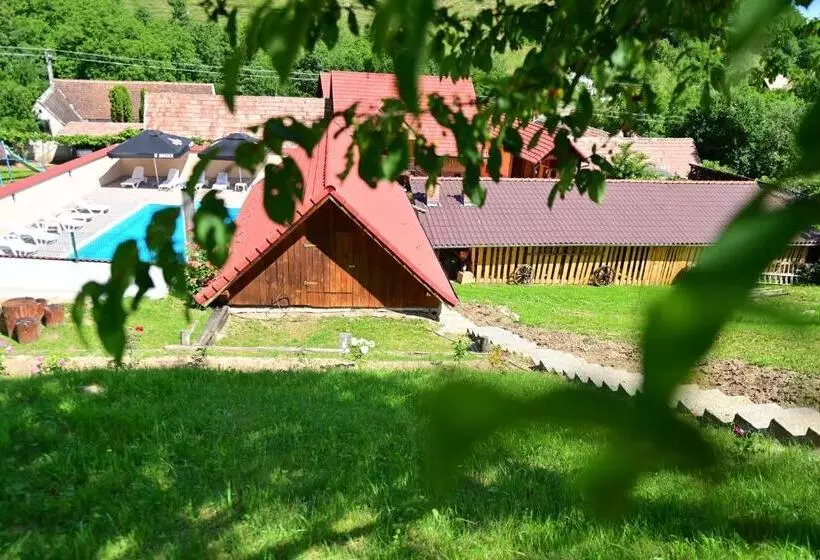 Pensiunea Darian & David