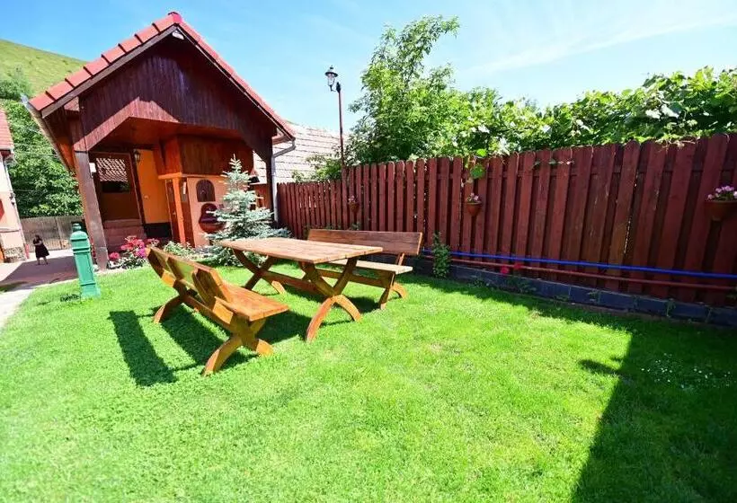 Pensiunea Darian & David