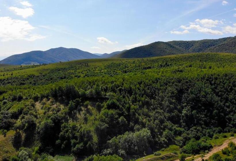 Pensiunea Darian & David