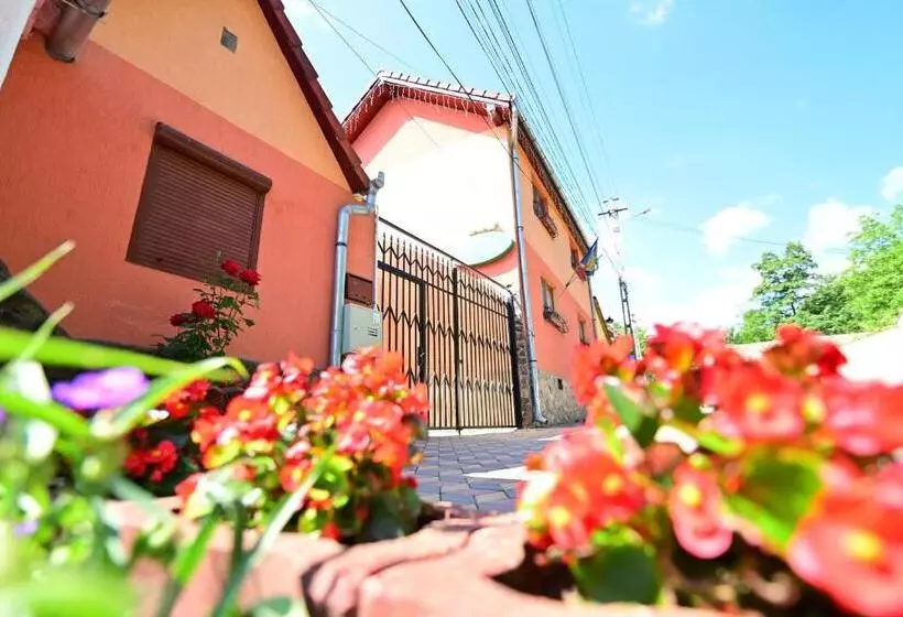 Pensiunea Darian & David