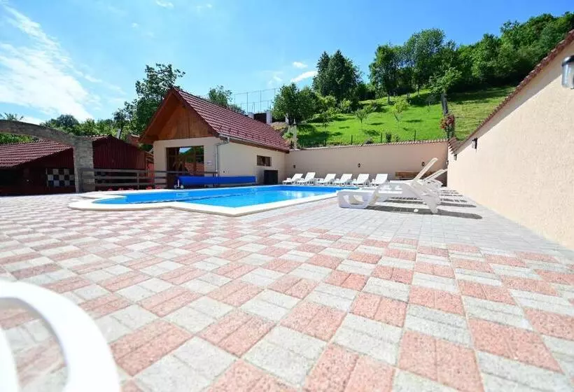 Pensiunea Darian & David