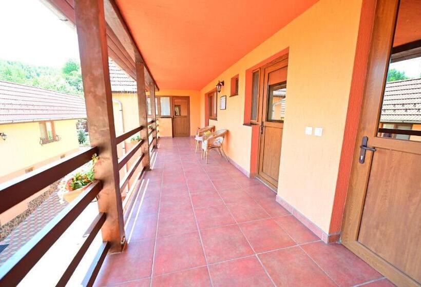 Pensiunea Darian & David