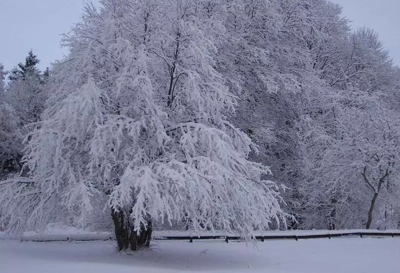 Spånhults Herrgård Hostel