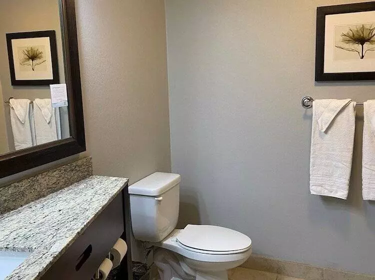 ホテル Americinn By Wyndham Algona