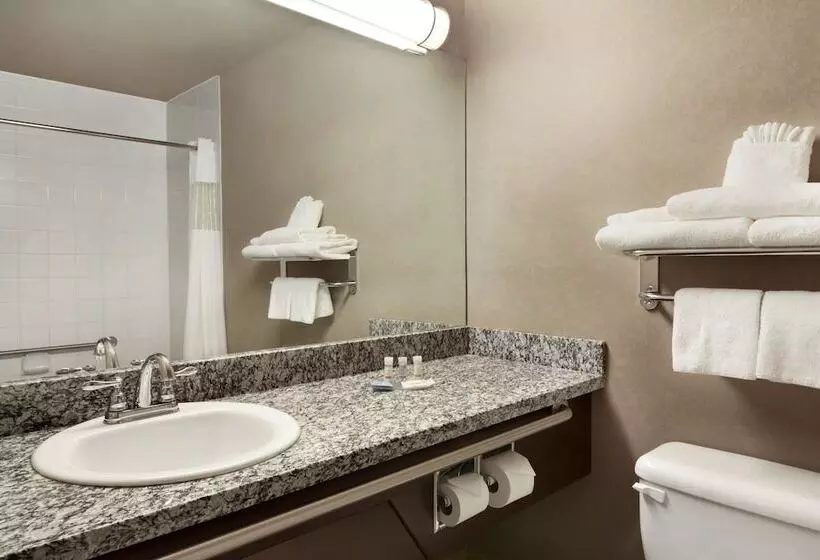 酒店 Days Inn By Wyndham Regina