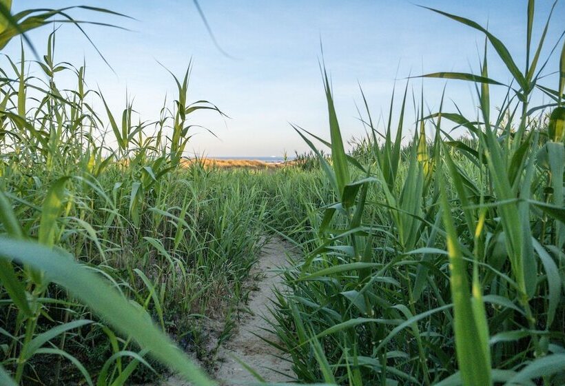 El Cortijo De Zahara By Qhotels