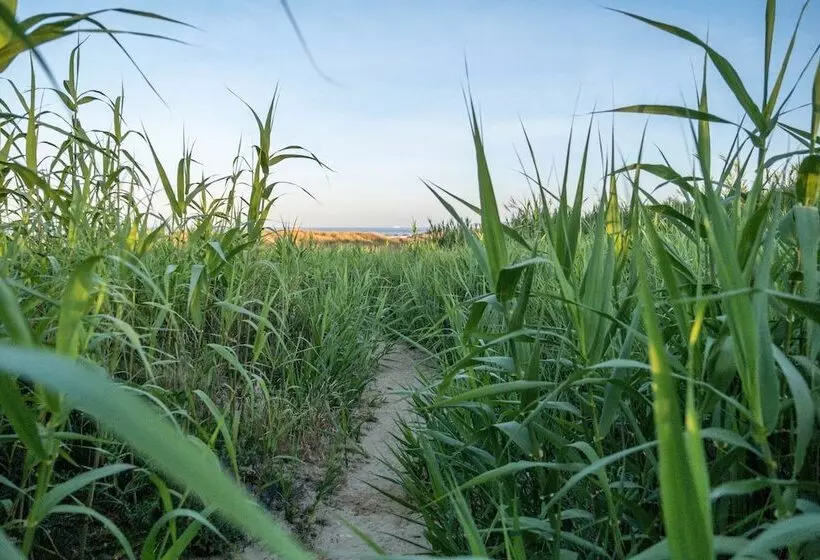 El Cortijo De Zahara By Qhotels