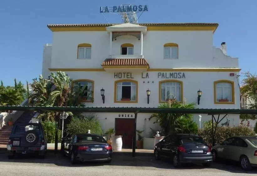 Отель La Palmosa